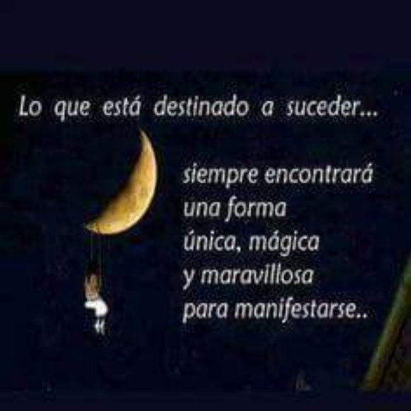 Meet your Posher, Minerva - Picture 1 of 1